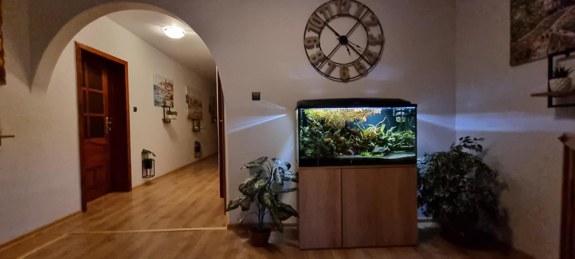 Noclegi Na Lacznej Świebodzice Exteriör bild
