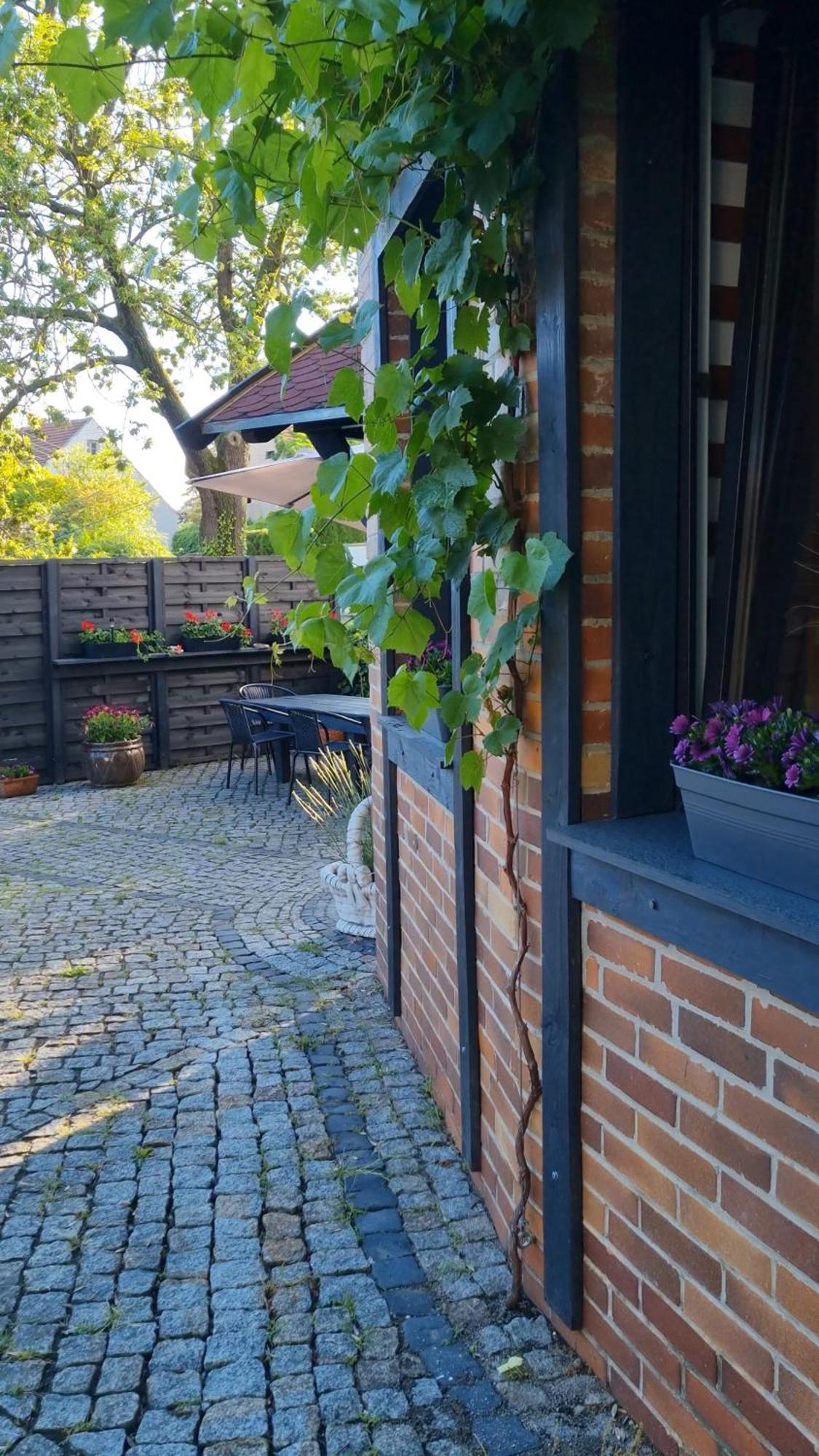 Noclegi Na Lacznej Świebodzice Exteriör bild